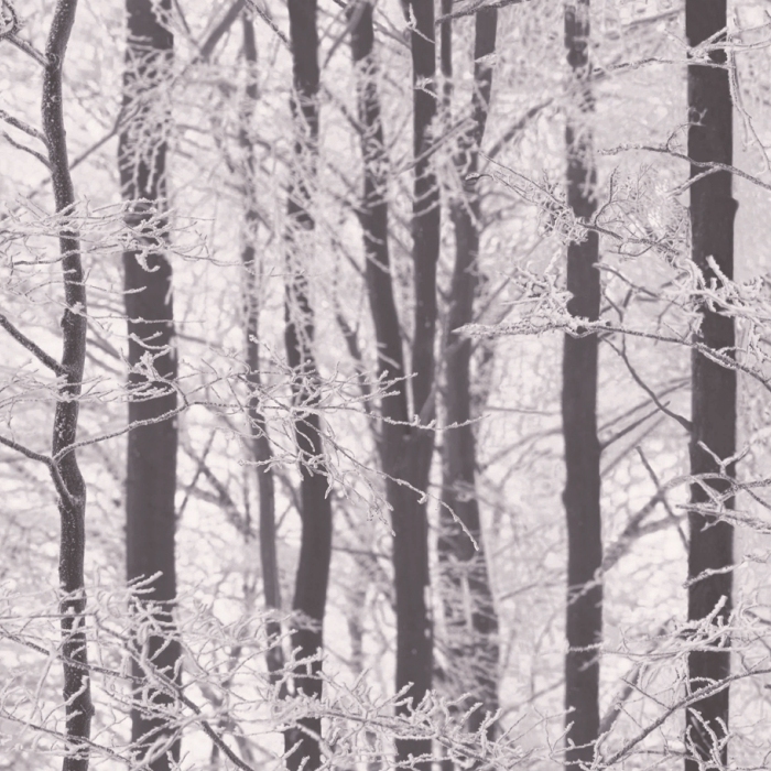 Обои Arthouse арт 670200 фото 1