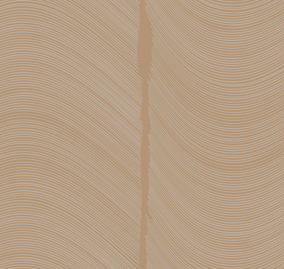 Обои Loymina арт BR4 002/1 фото 1