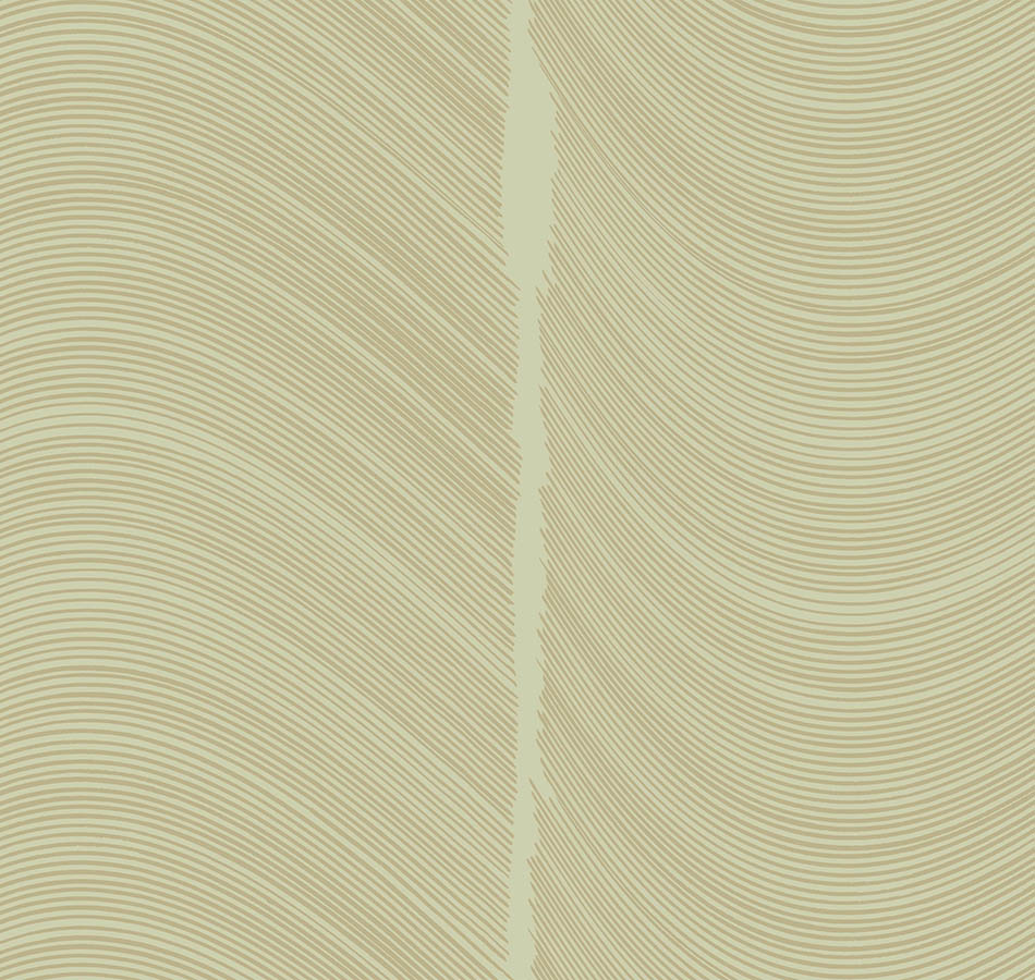 Обои Loymina арт BR4 005 фото 1