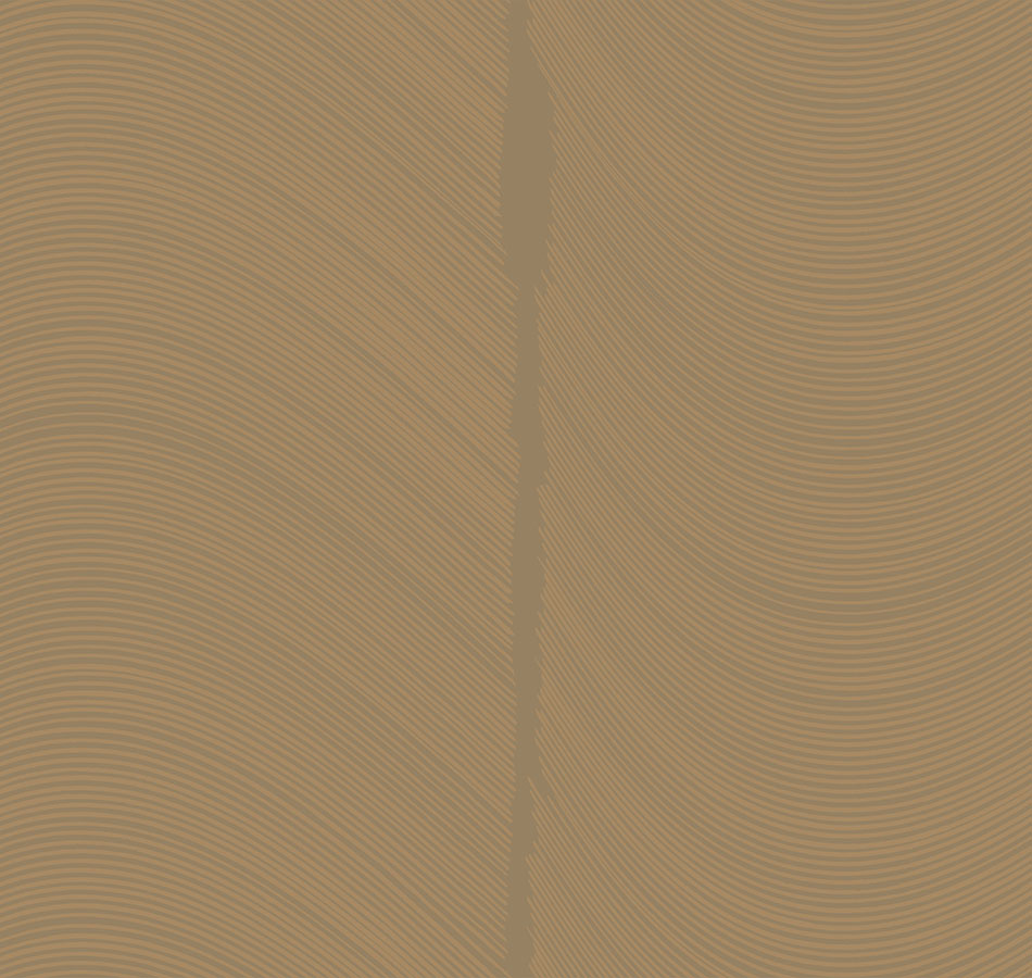 Обои Loymina арт BR4 012 фото 1