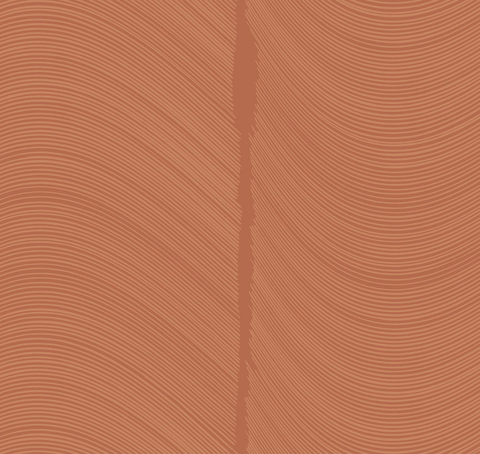 Обои Loymina арт BR4 012/1 фото 1