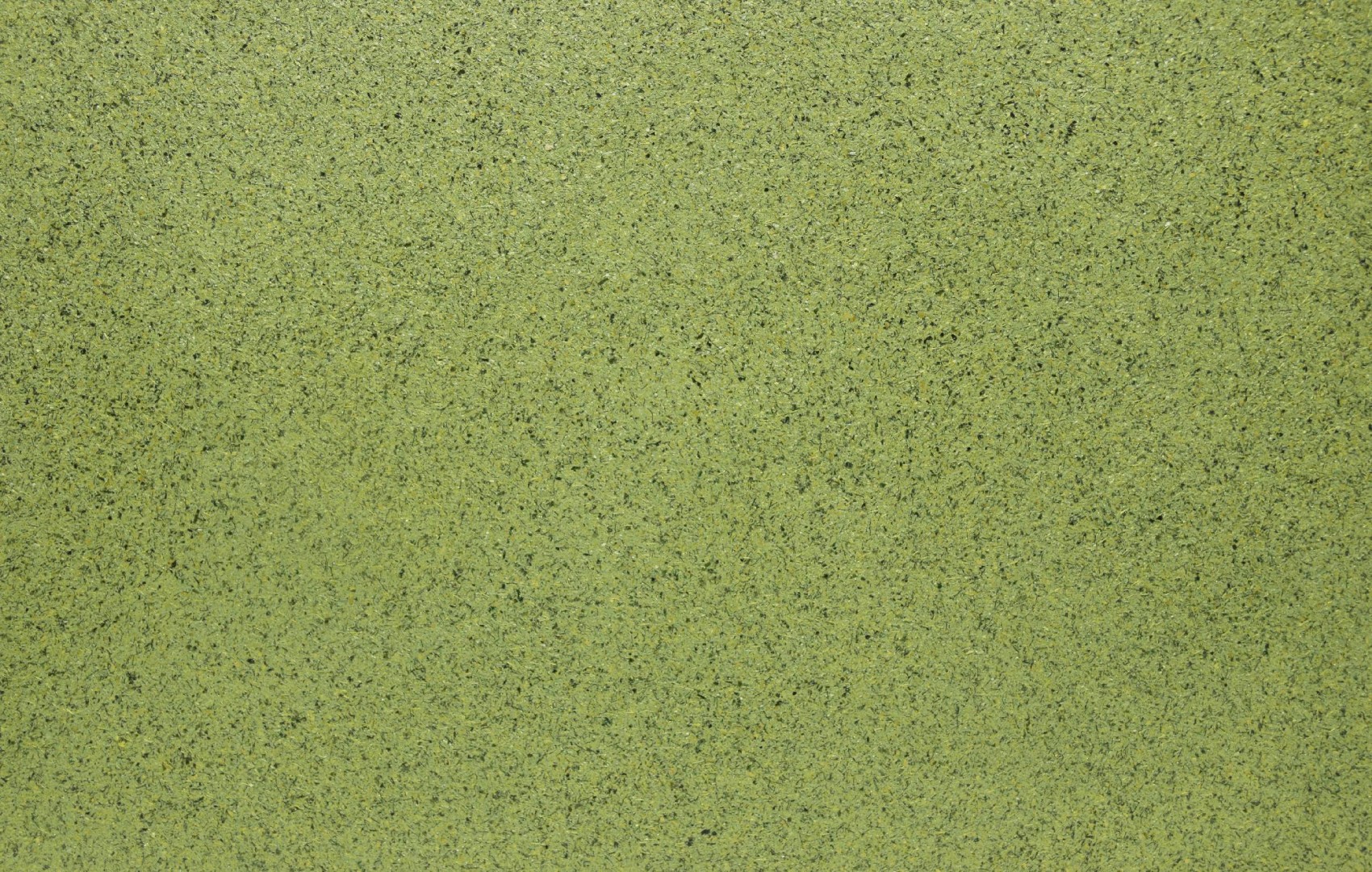 Жидкие обои Silk Plaster арт В210 фото 1