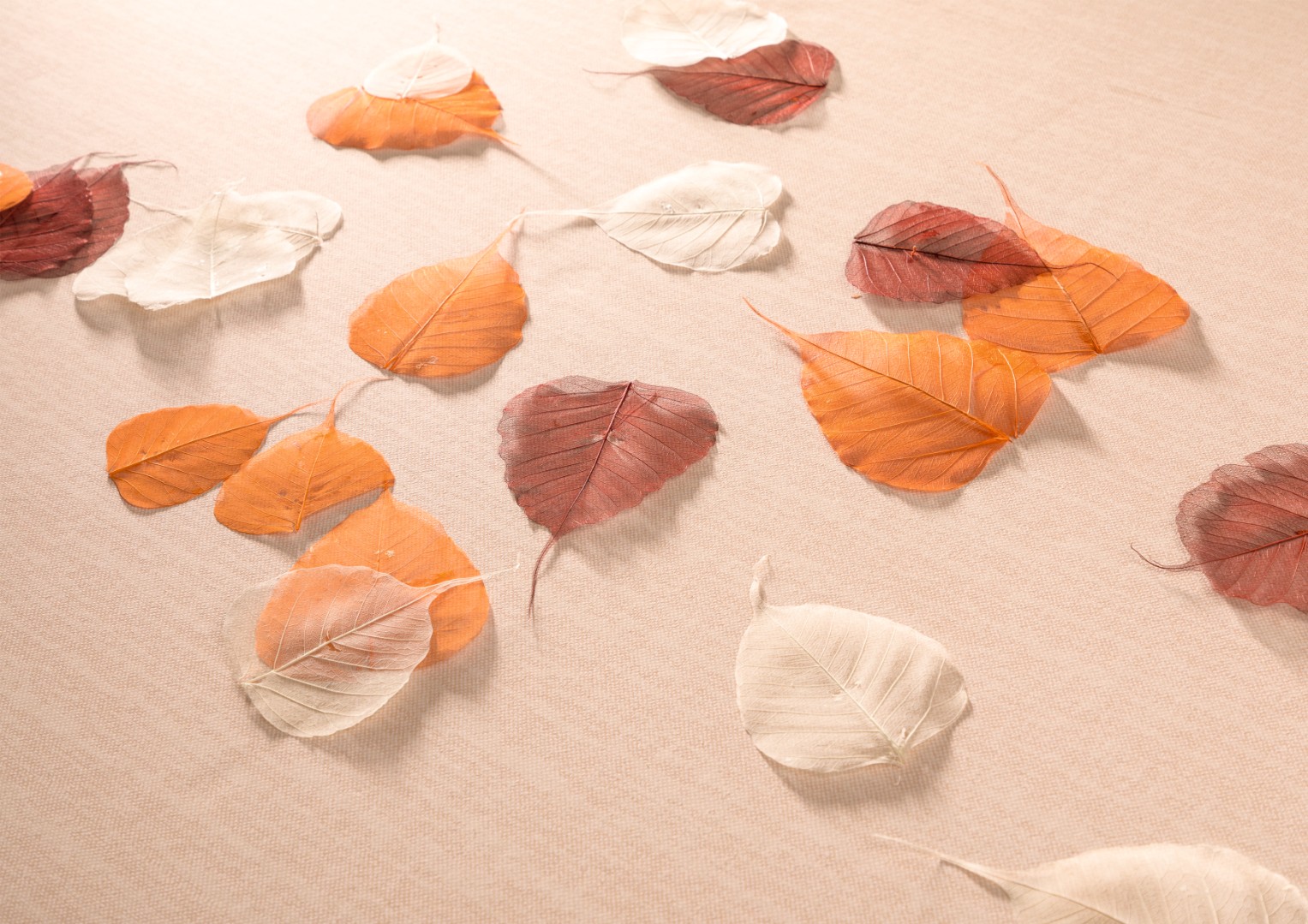 Обои Loymina арт SD2 002/4 фото 2