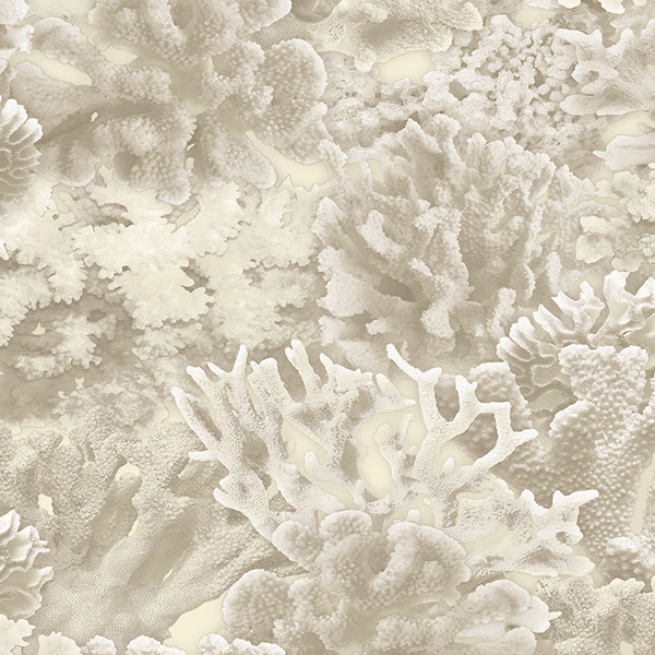 Обои Aura арт FH37501 фото 1