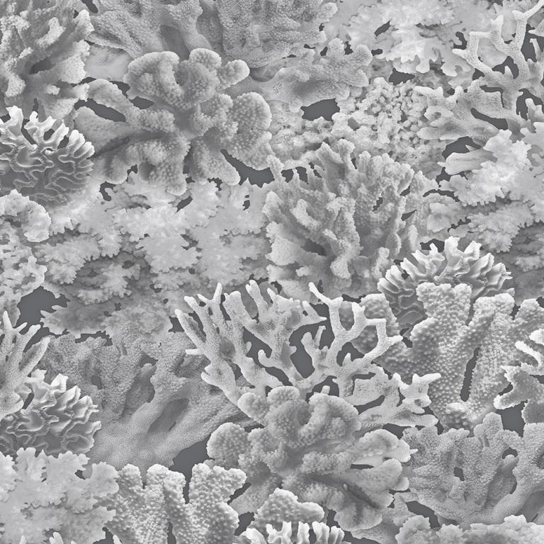 Обои Aura арт FH37503 фото 1