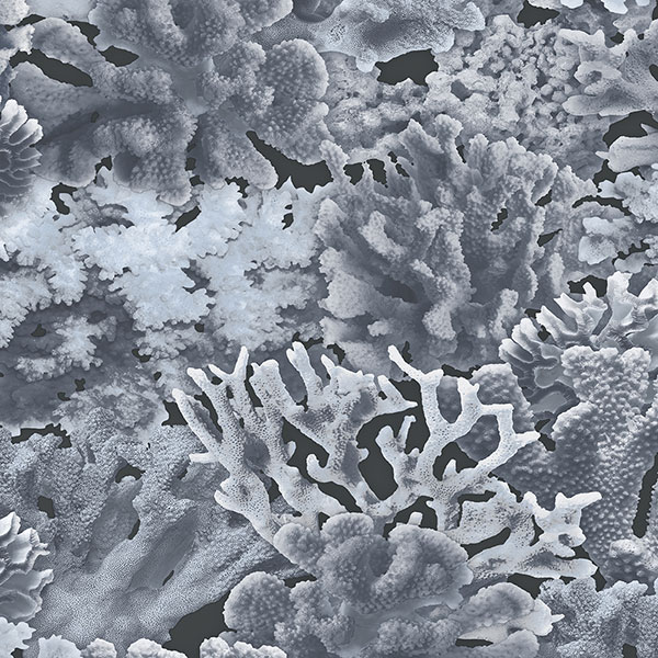 Обои Aura арт FH37504 фото 1