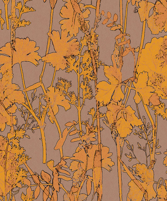 Обои Khroma арт KOS505 фото 1