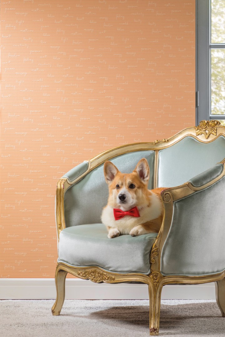 Обои Milassa арт D5 002/2 фото 2