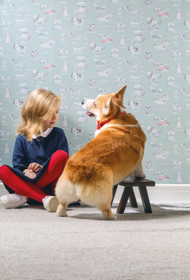 Обои Milassa арт D6 006 фото 2