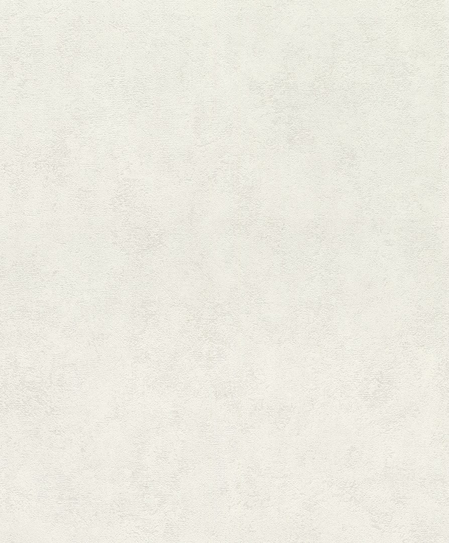 Обои Rasch арт 540451 фото 1