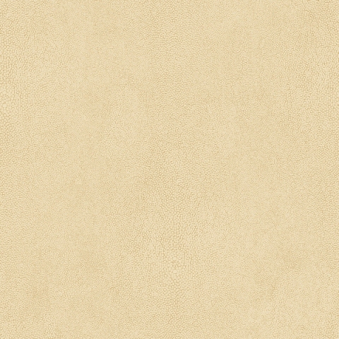 Обои Aura арт G67466 фото 1