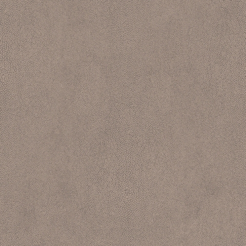 Обои Aura арт G67467 фото 1