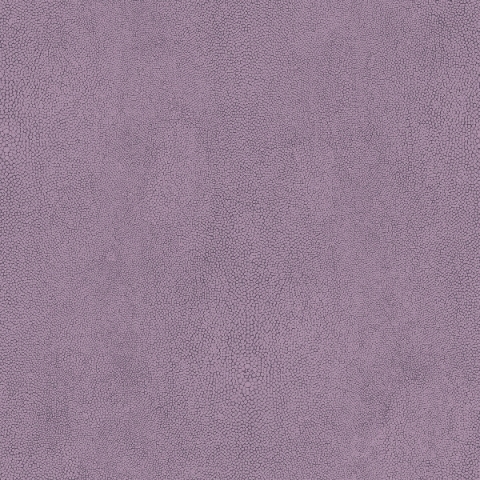 Обои Aura арт G67469 фото 1