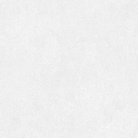 Обои Aura арт G67472 фото 1