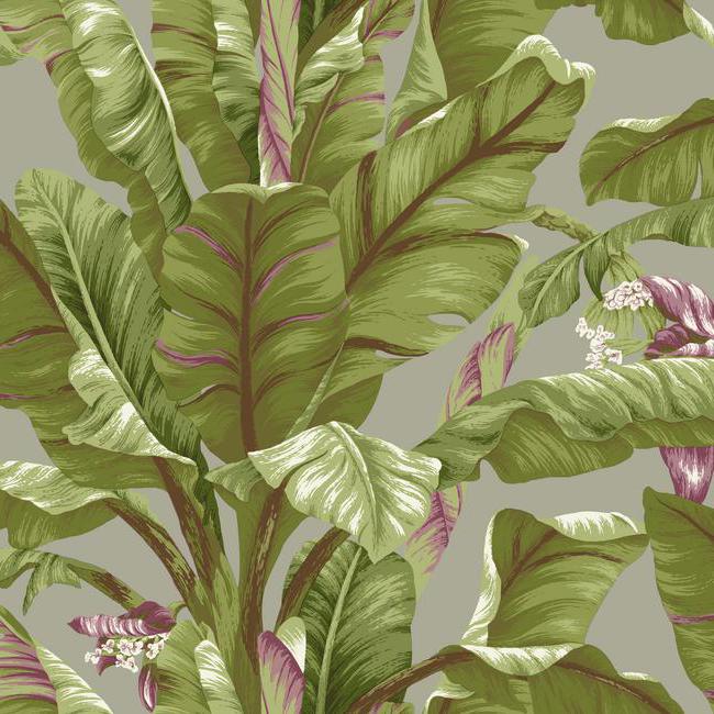 Обои York арт AT7069 фото 1