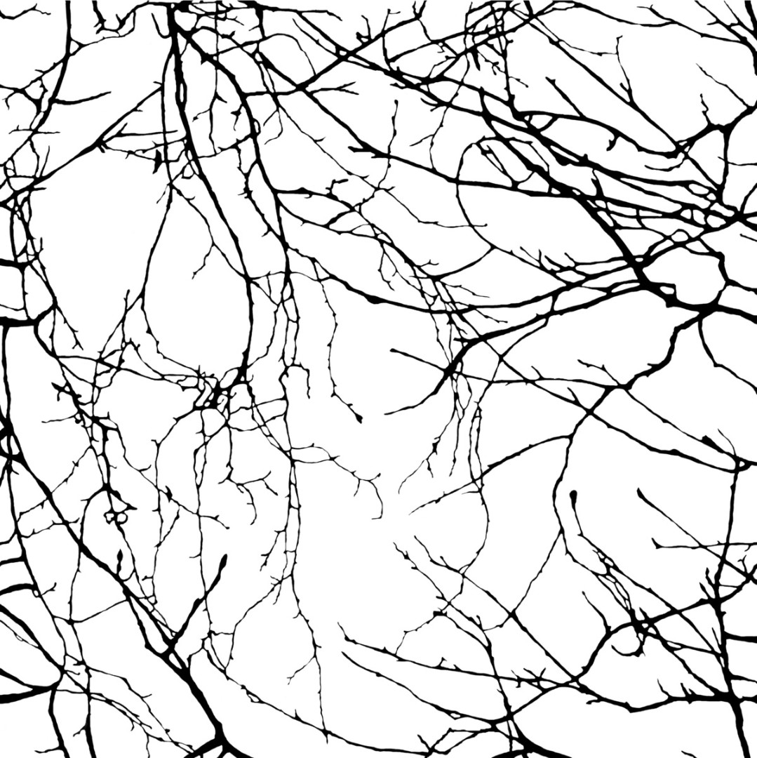 Обои Vallila арт 5329-1 фото 1