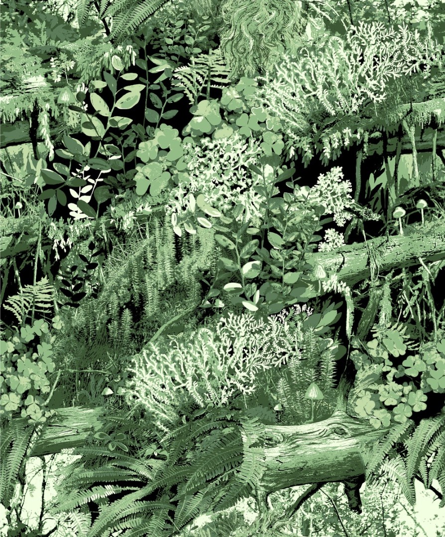 Обои Vallila арт 5330-1 фото 1