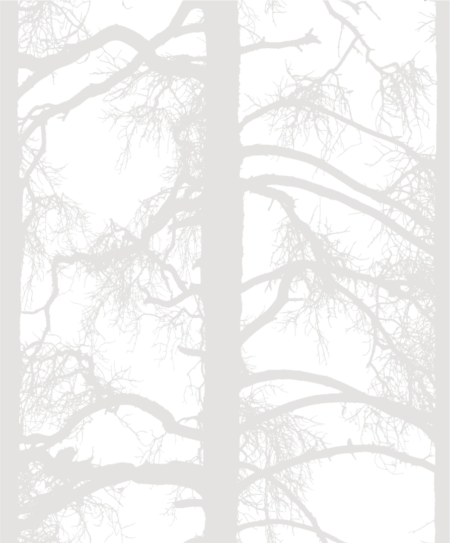 Обои Vallila арт 5331-1 фото 1