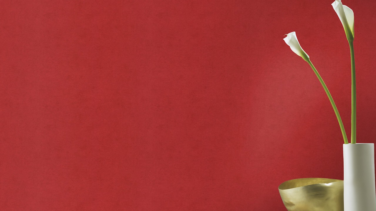 Обои Rasch арт 408195 фото 7