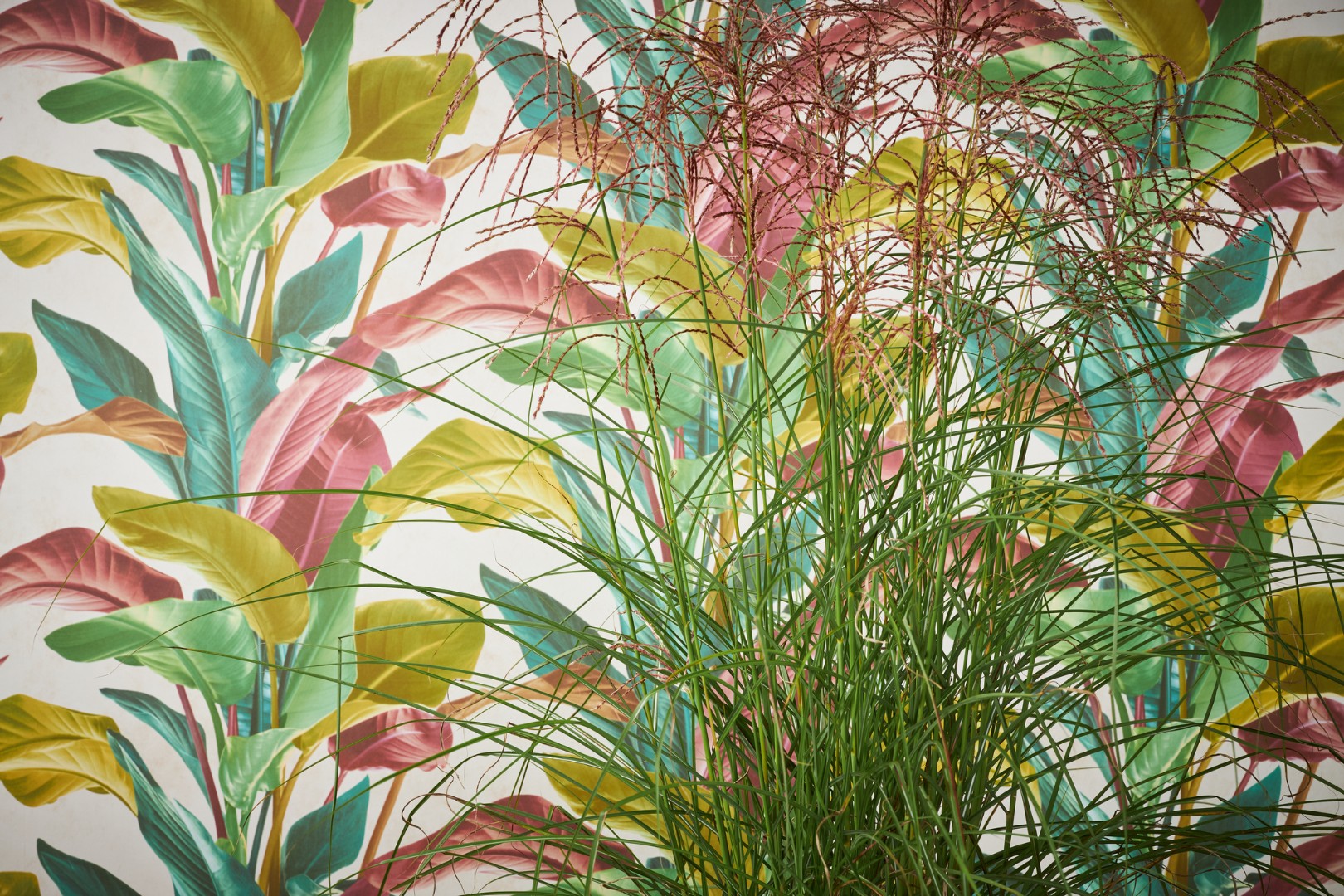 Обои A.S.Creation арт 37862-1 фото 6