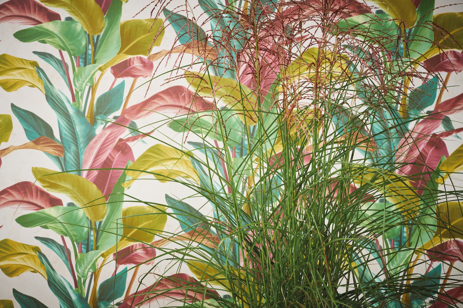 Обои A.S.Creation арт 37862-1 фото 13