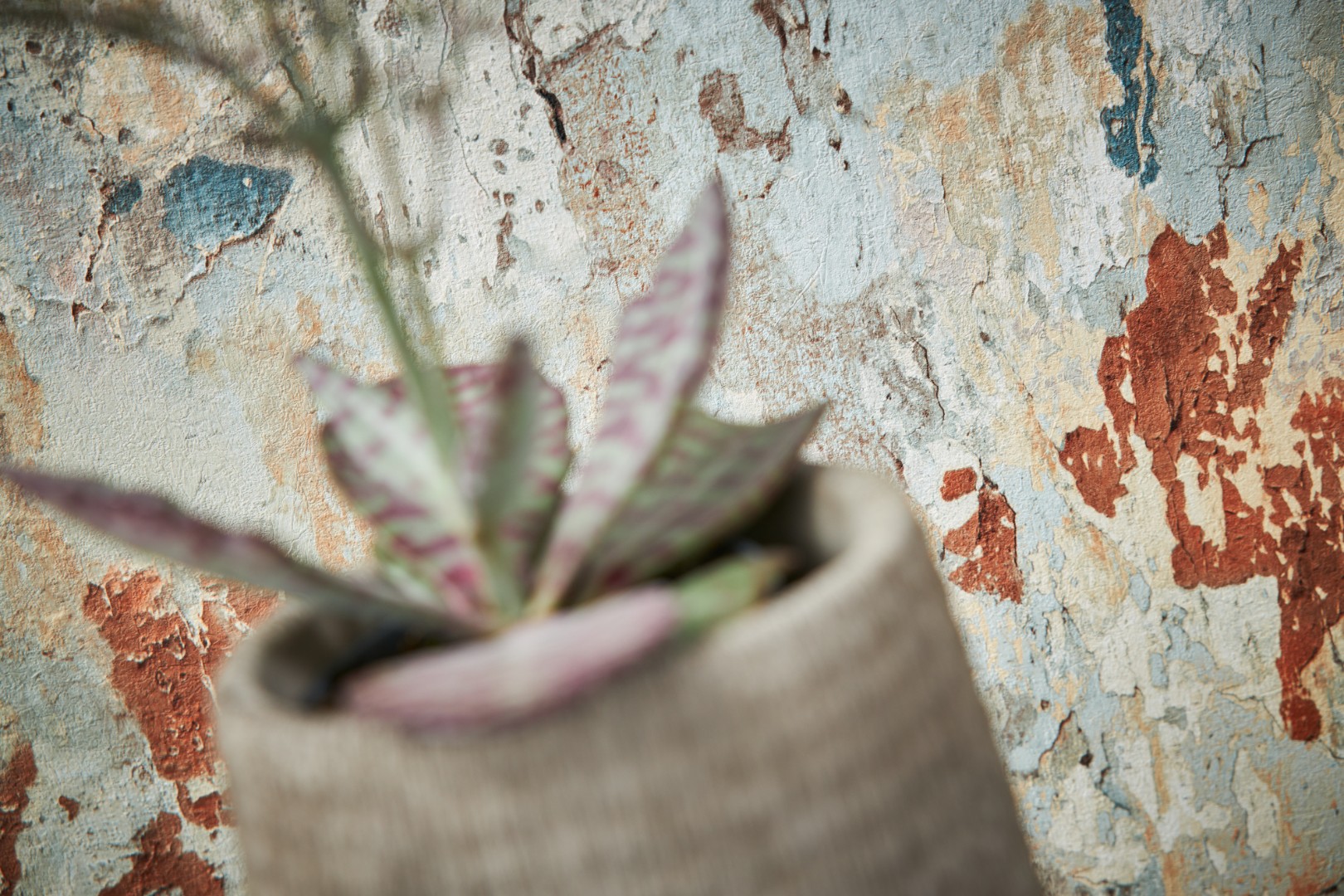 Обои A.S.Creation арт 37954-1 фото 8