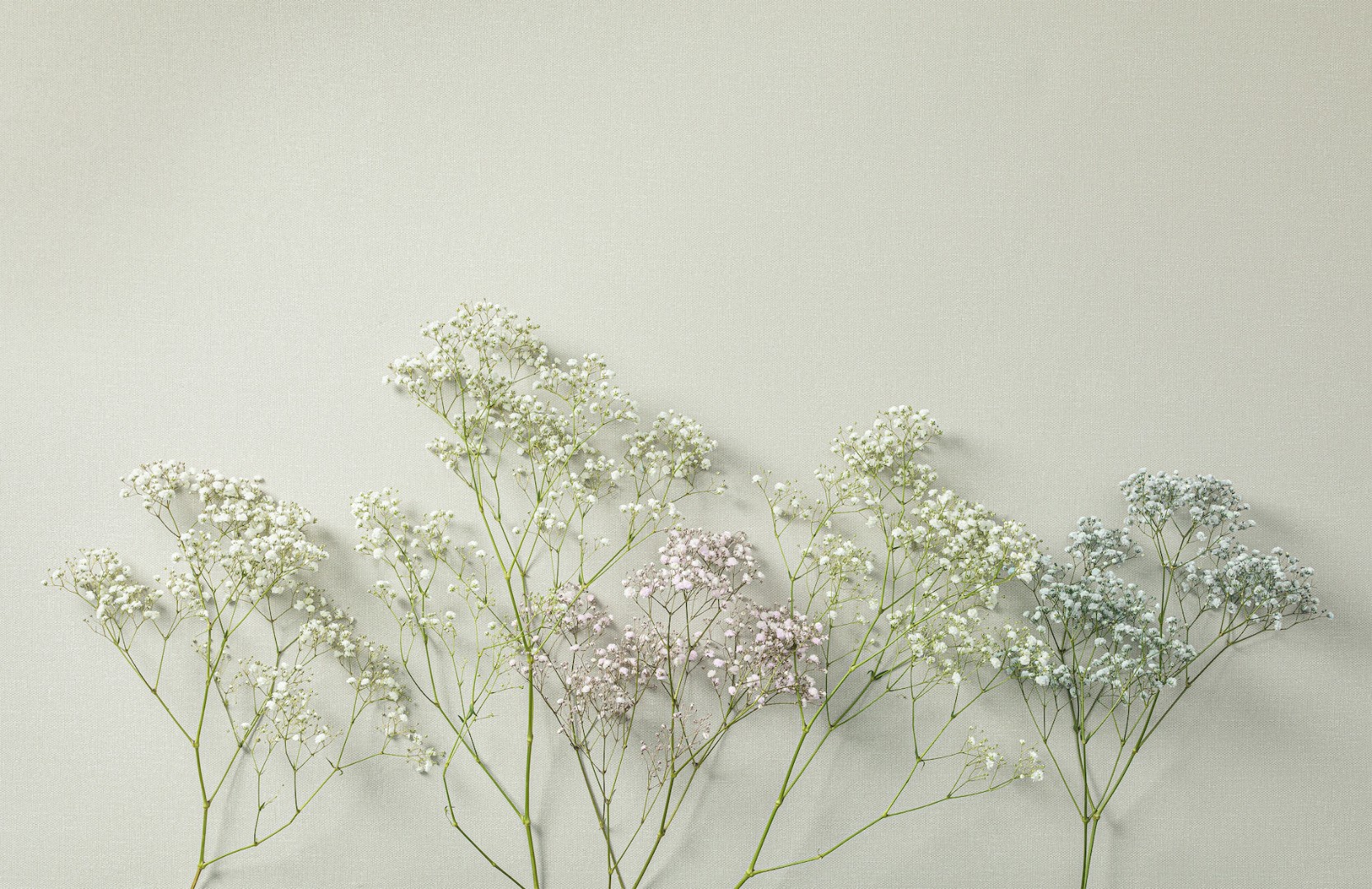 Обои Loymina арт SDR1 001/2 фото 2