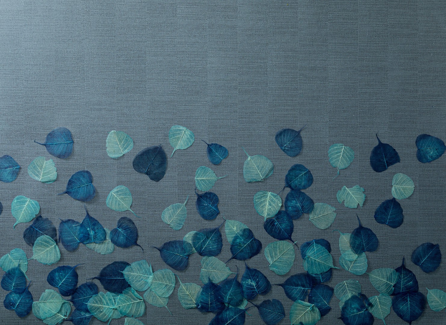 Обои Loymina арт SDR2 021 фото 2