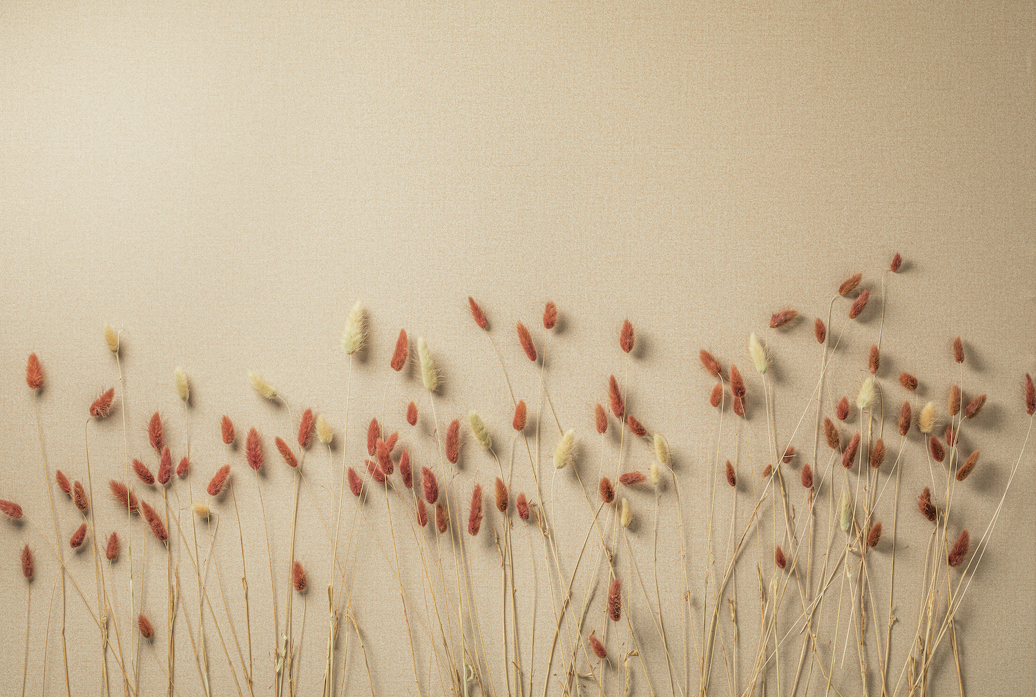 Обои Loymina арт SDR3 012/2 фото 2