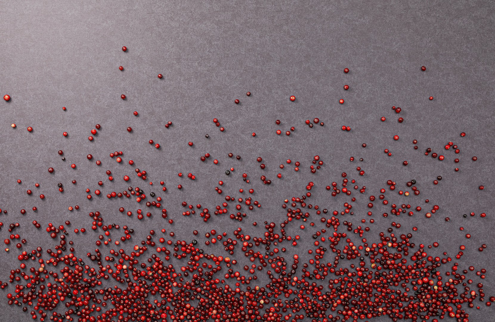 Обои Loymina арт SDR5 022 фото 2