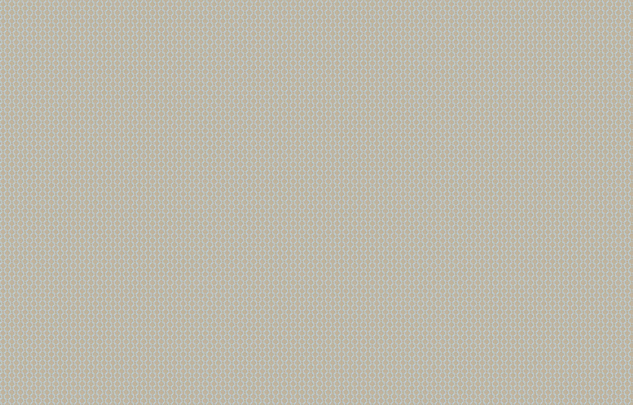 Обои Milassa арт DM 2 006 фото 1