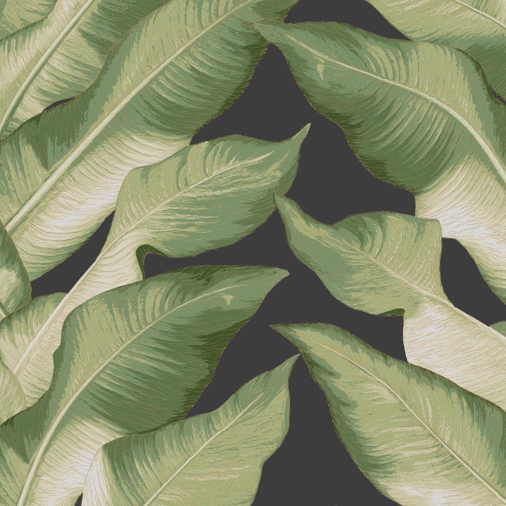 Обои York арт NV5540 фото 1