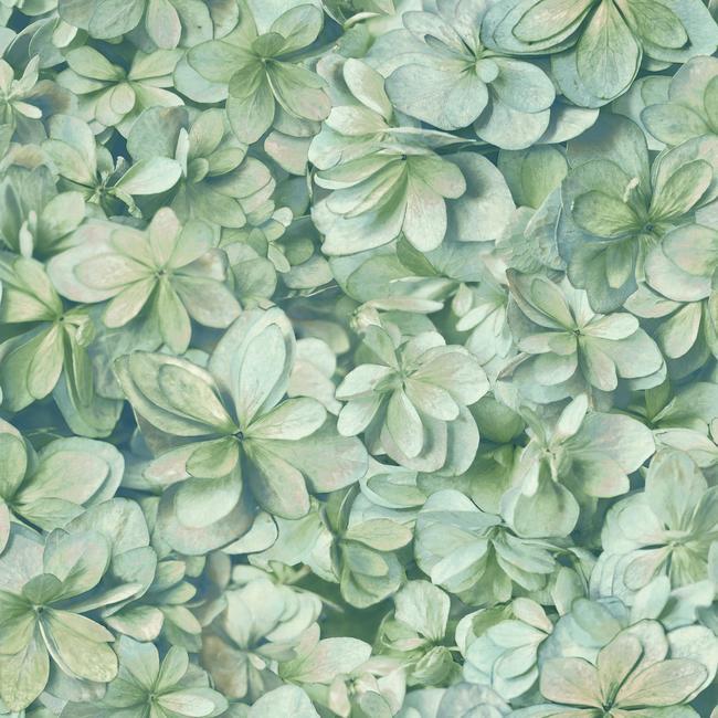 Обои York арт ON1619 фото 1