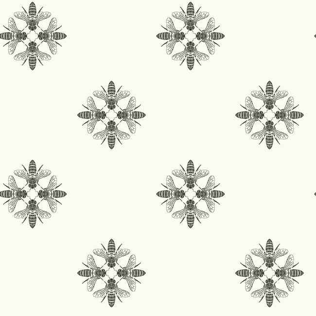 Обои York арт ON1643 фото 1