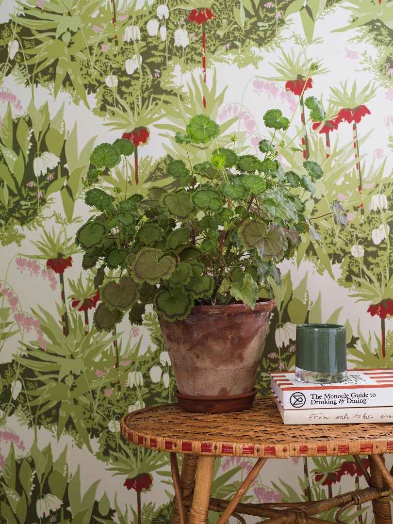 Обои Borastapeter арт 1982 фото 5