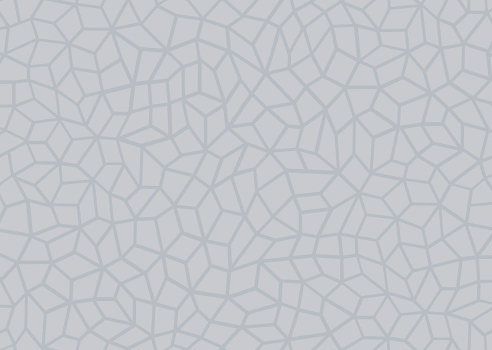 Обои Guy Masureel арт REB704ALINE SILVER фото 1