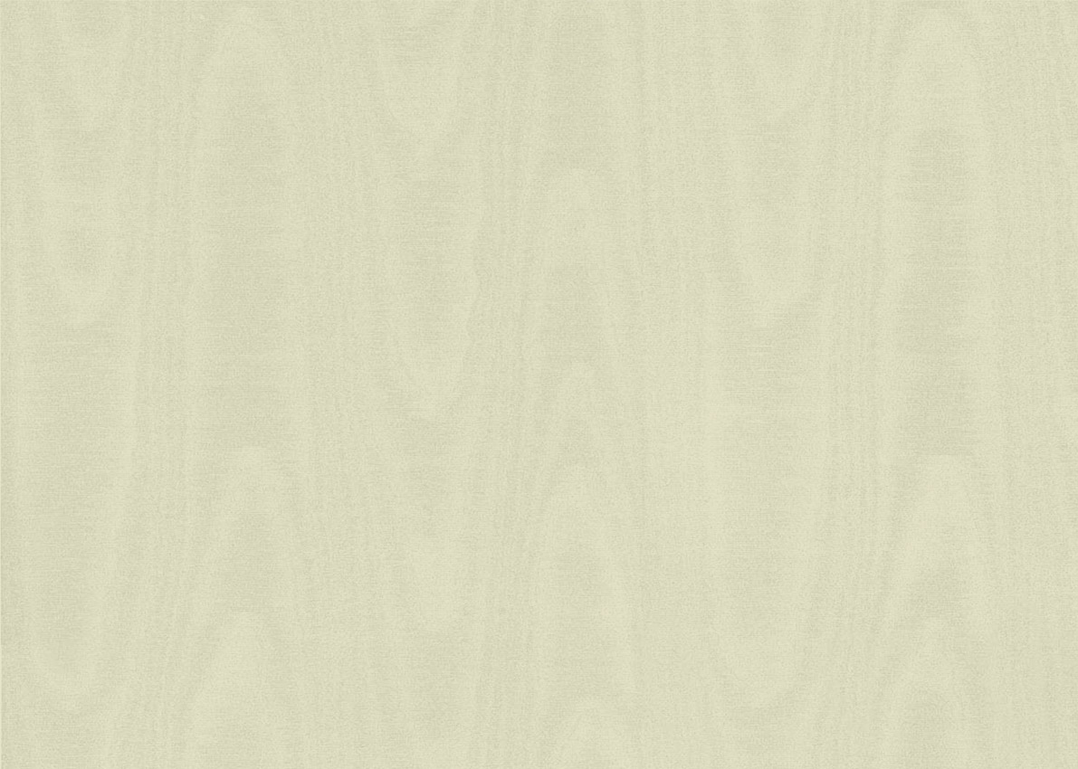 Обои Sirpi арт 1VN 24810 фото 1