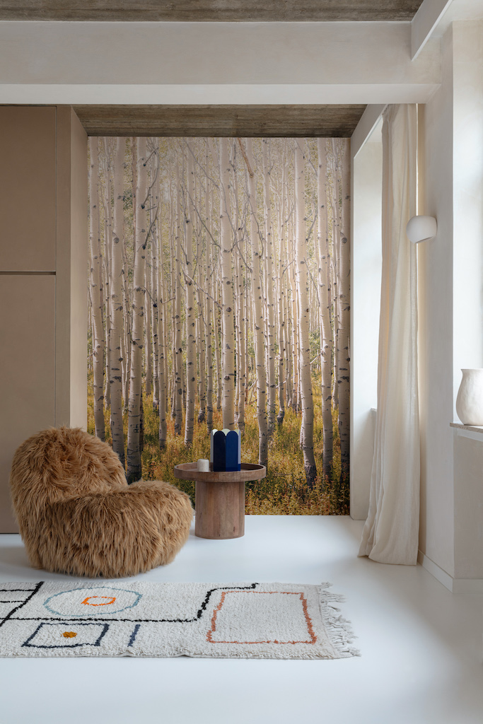 Фотообои Grandeco арт A42601 фото 5