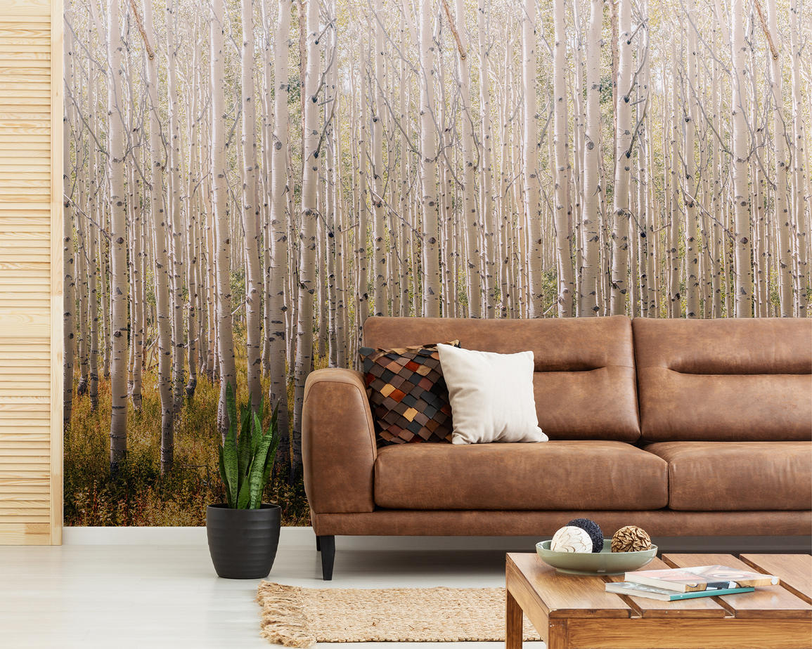 Фотообои Grandeco арт A42601 фото 4