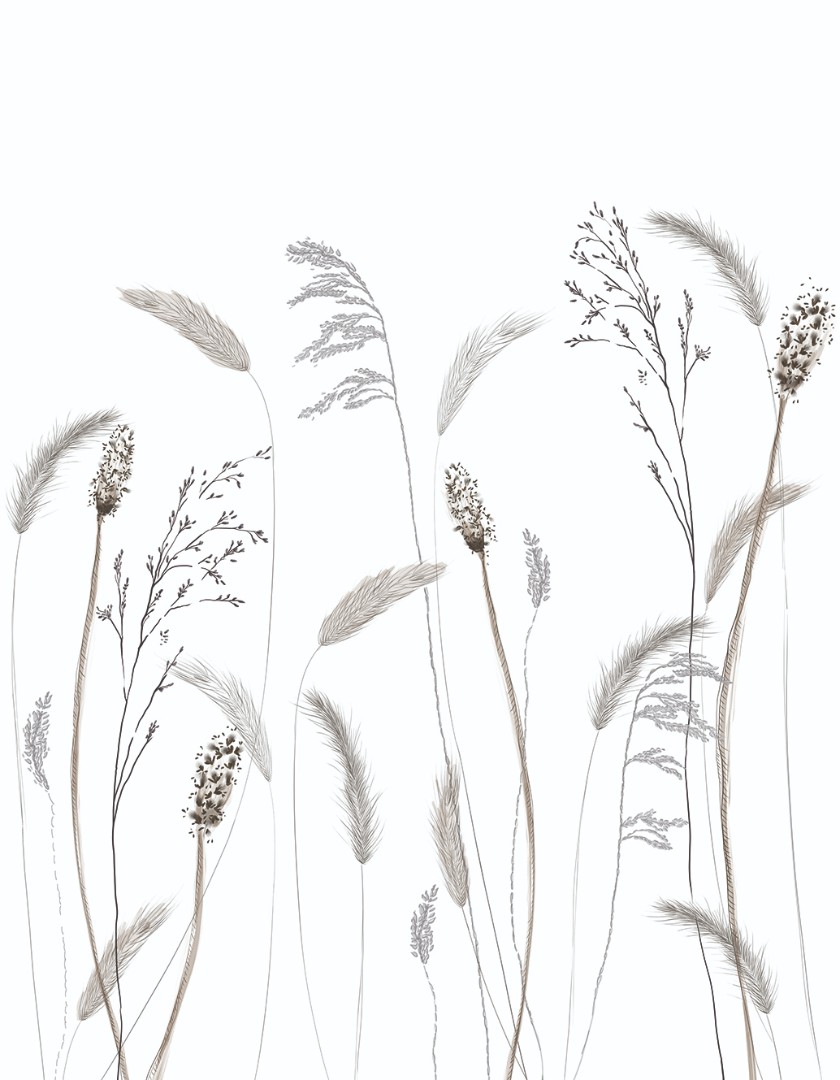 Фотообои Marburg арт 63459 фото 1