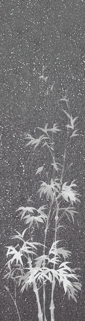 Фотообои Marburg арт 63481 фото 1